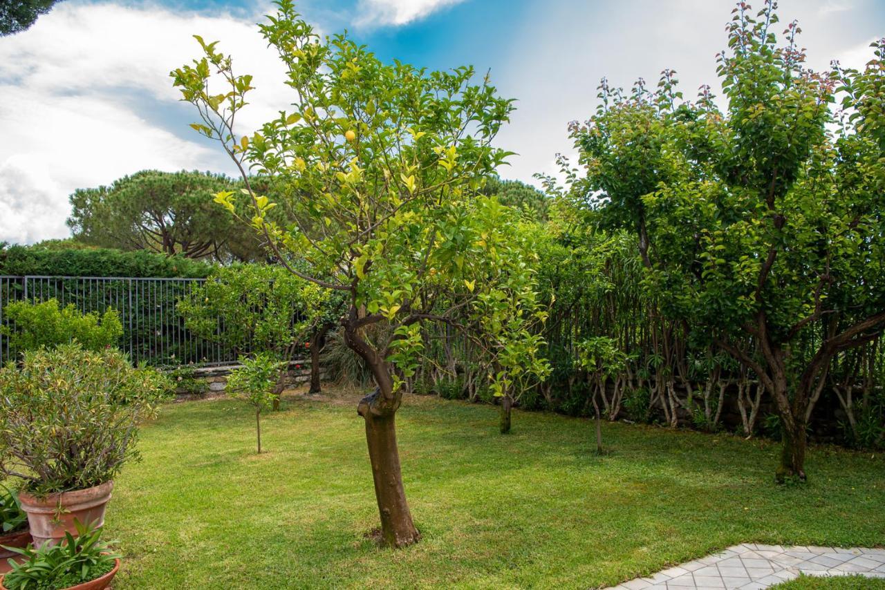 Magnificent Villa Σαν Ρέμο Εξωτερικό φωτογραφία